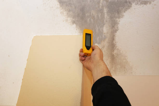 Best Asbestos and Lead Testing During Mold Inspection  in Riverdale, NJ