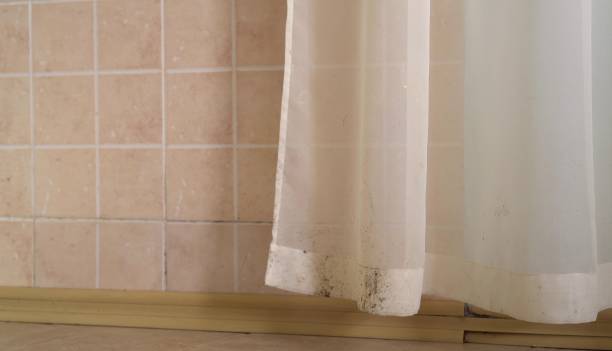 Best Dehumidification Services  in Riverdale, NJ