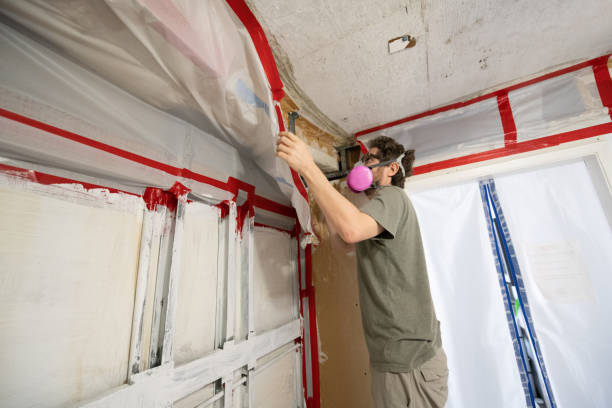 Best Comprehensive Air Testing for Mold Contaminants  in Riverdale, NJ