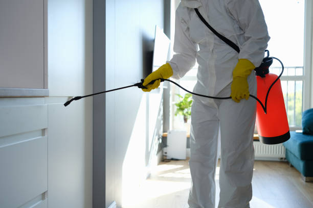 Best Crawl Space Mold Remediation  in Riverdale, NJ