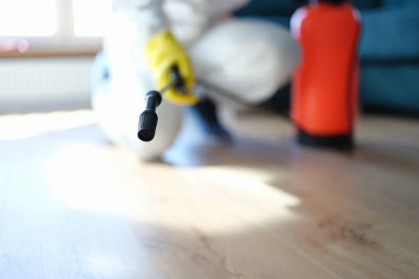 Best Industrial Mold Remediation  in Riverdale, NJ